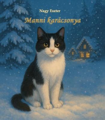 Manni karácsonya §K Kép