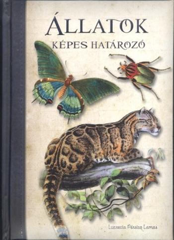 Képes határozó: Állatok 1.Kép