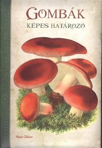 Képes határozó : Gombák 1.Kép