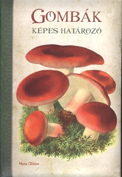 Képes határozó : Gombák