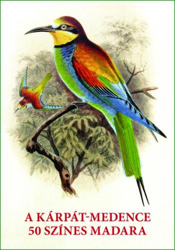 A Kárpát-medence 50 színes madara - Madarak egész oldalas képei és leírásai Kép