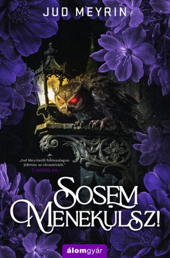 Sosem menekülsz! Kép