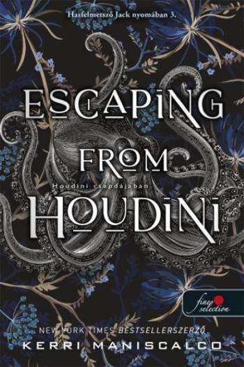 Escaping From Houdini - Houdini csapdájában Kép