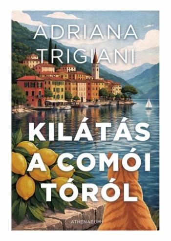 Kilátás a Comói-tóról Kép
