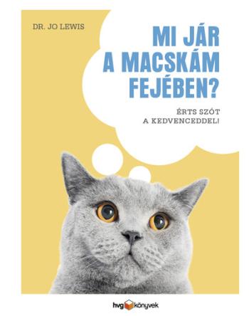 Mi jár a macskám fejében? - Érts szót a kedvenceddel! Kép