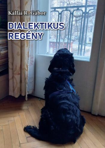 Dialektikus regény Kép