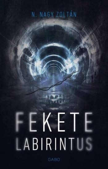 Fekete labirintus Kép