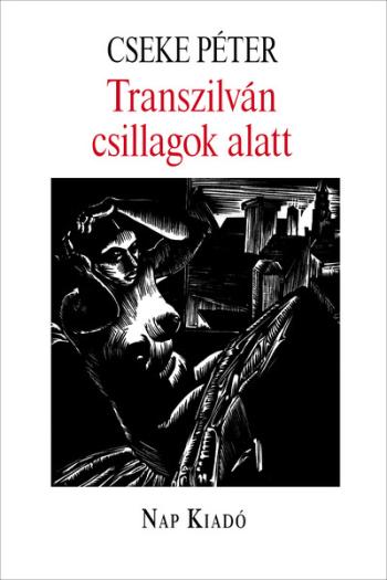 Transzilván csillagok alatt - Magyar esszék sorozat Kép