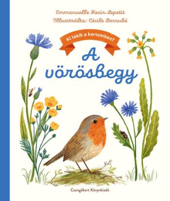 A vörösbegy - Ki lakik a kertemben? Kép