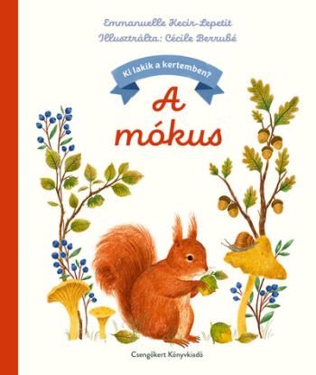 A mókus - Ki lakik a kertemben? Kép