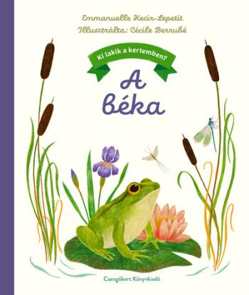 A béka - Ki lakik a kertemben? Kép
