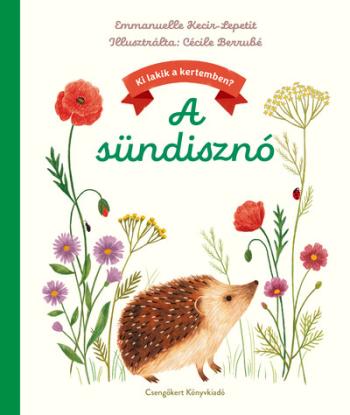 A sündisznó - Ki lakik a kertemben? Kép