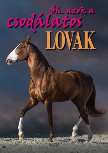 Óh azok a csodálatos lovak Kép