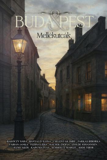 Buda + Pest - Mellékutcák Kép