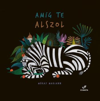 Amíg te alszol Kép