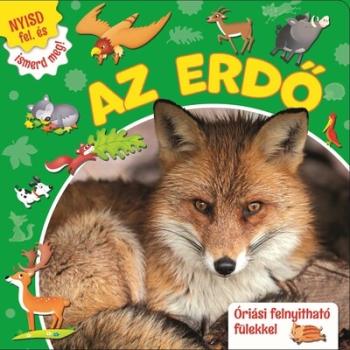 Nyisd fel, és ismerd meg! - Az erdő Kép