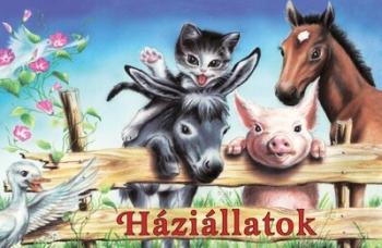 Háziállatok - Leporelló (új kiadás) Kép