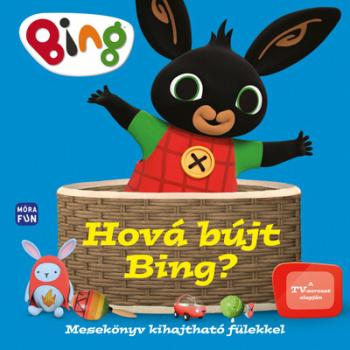 Bing: Hová bújt Bing? - Mesekönyv kihajtható fülekkel Kép