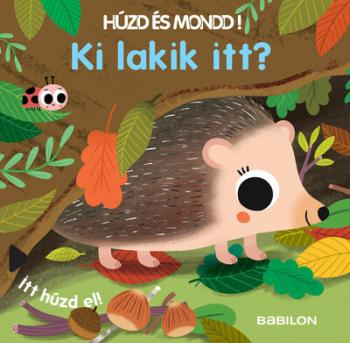 Ki lakik itt? - Húzd és mondd! Kép