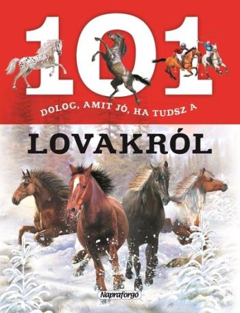 101 dolog, amit jó, ha tudsz a lovakról Kép