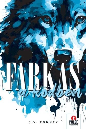 Farkas a ködben Kép