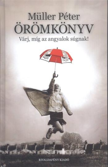 Örömkönyv /Várj, míg az angyalok súgnak! Kép