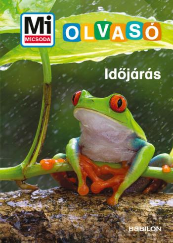 Időjárás - Mi MICSODA Olvasó (új kiadás) Kép