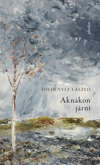 Aknákon járni Kép