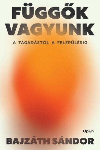 Függők vagyunk - A tagadástól a felépülésig Kép