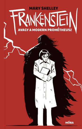 Frankenstein, avagy a modern Prométheusz (új kiadás) Kép