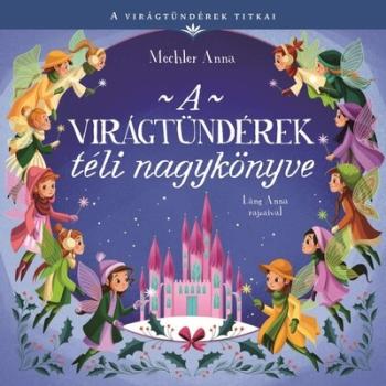 A virágtündérek téli nagykönyve - A virágtündérek titkai Kép
