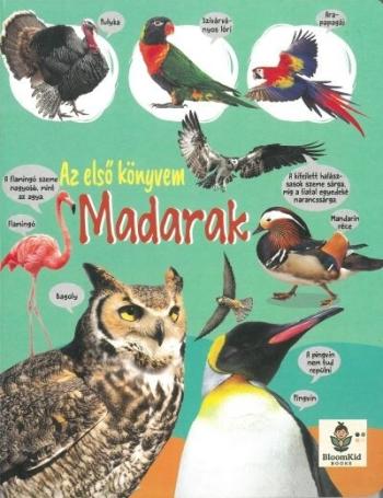 Az első könyvem - Madarak Kép