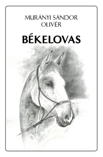 Békelovas Kép