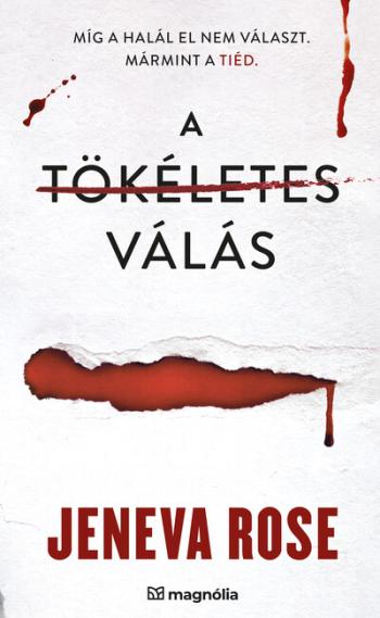 A tökéletes válás - A tökéletes házasság Kép