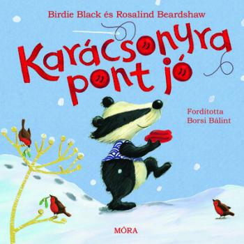 Karácsonyra pont jó §K Kép