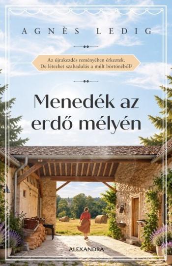 Menedék az erdő mélyén Kép