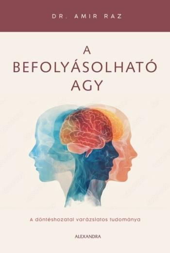 A befolyásolható agy Kép